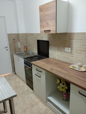 Apartament Herculane cu vedere la munte